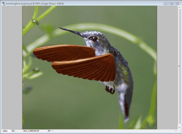 Creation of Hummingbird: Step 6